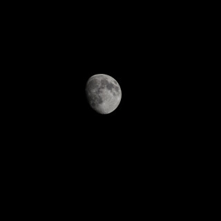 Apr-04-202021164