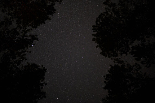 Astro-18.jpg