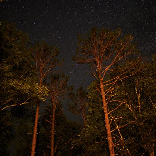Astro-23.jpg