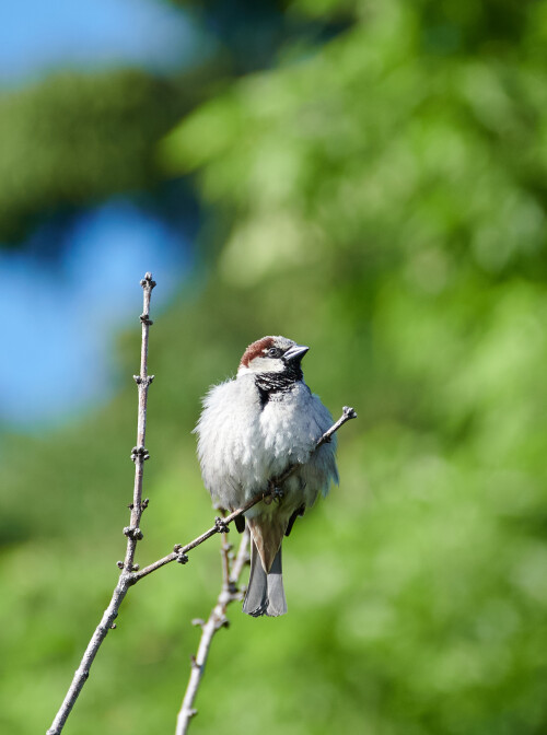 Birding-56.jpg