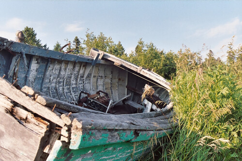 Gold-400-68.jpg