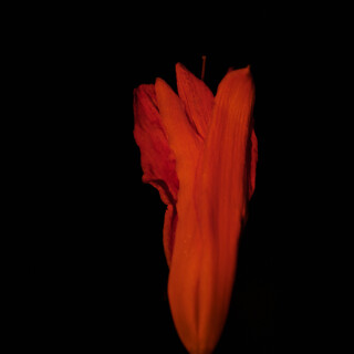 Macro-112
