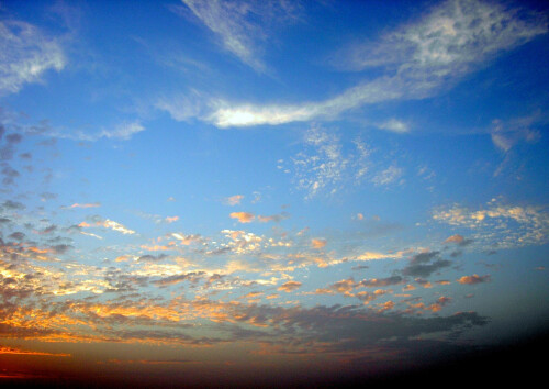 20041019-1.jpg