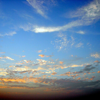 20041019-1