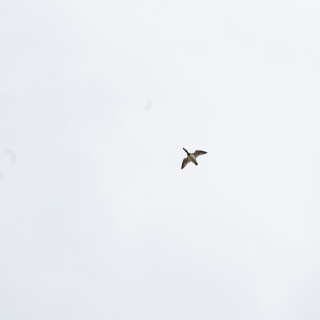 Apr-04-201119178