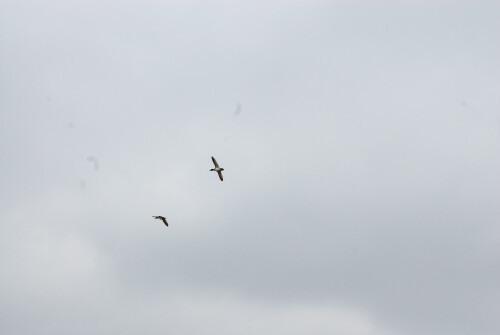 Apr-04-201119180.jpg