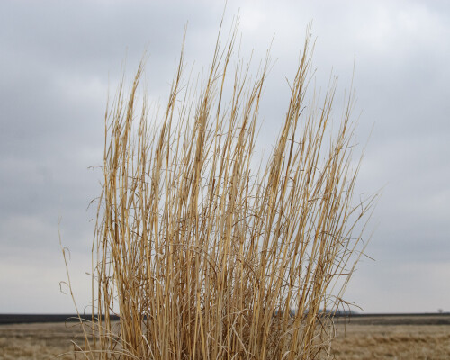 Apr-04-201119182.jpg