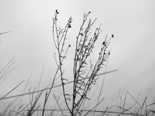 Dec-21-200619074.jpg