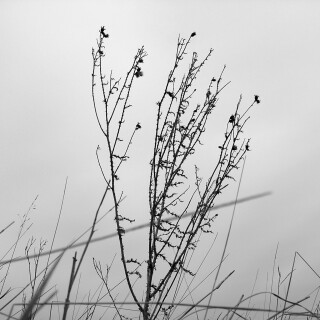 Dec-21-200619074