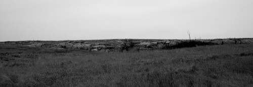 Dec-21-200619077.jpg