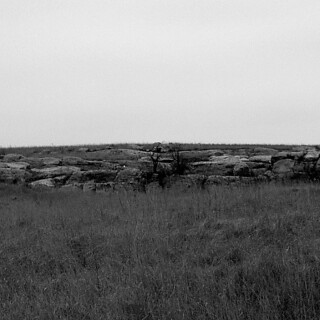 Dec-21-200619077