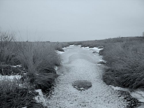 Dec-21-200619083.jpg