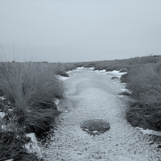 Dec-21-200619083