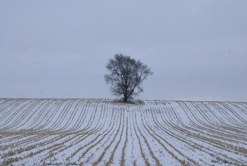 Jan-04-201119098.jpg