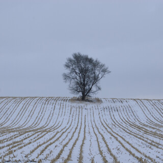 Jan-04-201119098