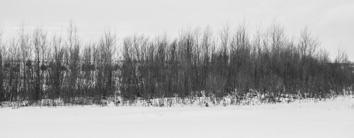 Jan-04-201119106.jpg