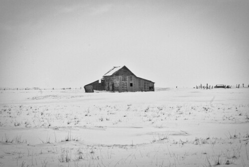 Jan-15-201119122.jpg