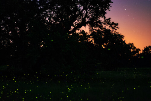 Jun-30-201119194.jpg