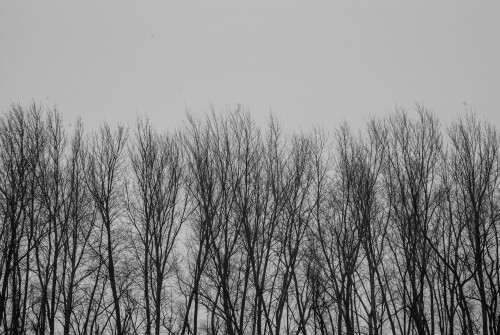Mar-08-201119134.jpg
