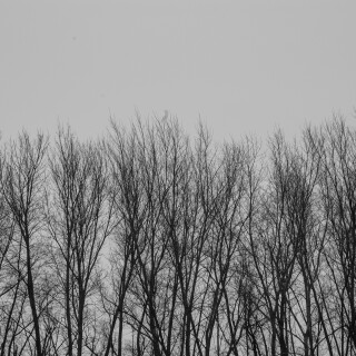 Mar-08-201119134