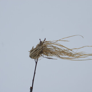 Mar-08-201119138