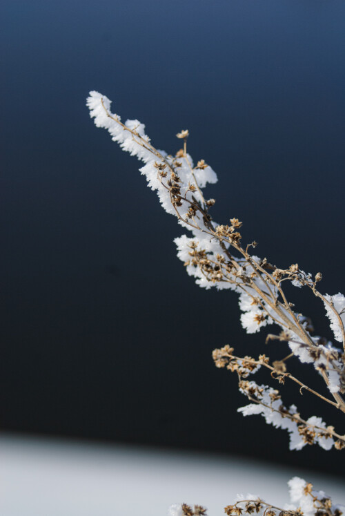 Mar-11-201119167.jpg