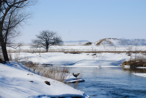 Mar-11-201119171.jpg