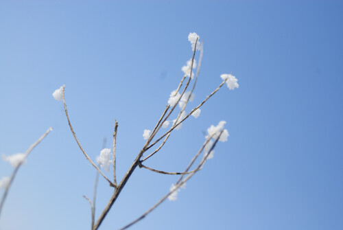 Mar-11-201119173.jpg