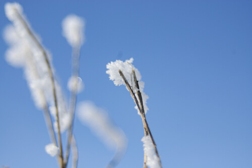 Mar-11-201119175.jpg