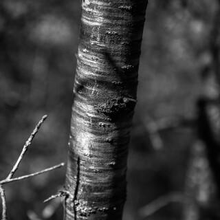 Mountains-139