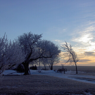 Plains1