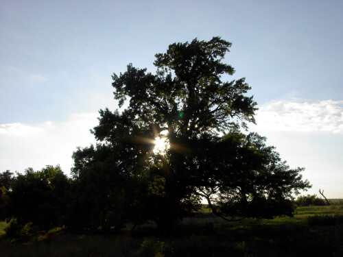 Sep-12-200619050.jpg