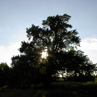 Sep-12-200619050