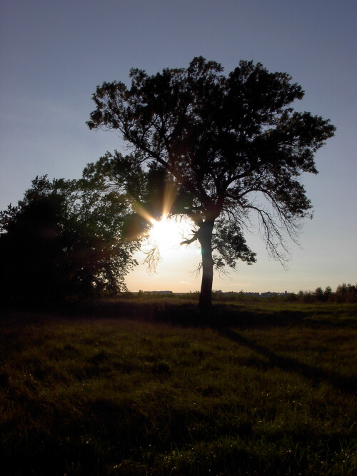 Sep-12-200619052.jpg