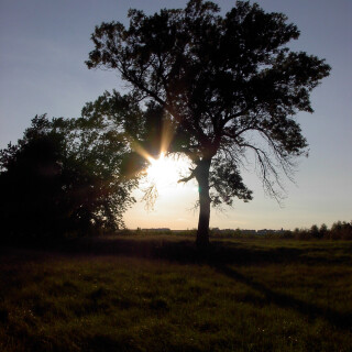 Sep-12-200619052