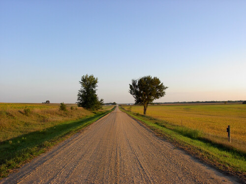 Sep-12-200619054.jpg
