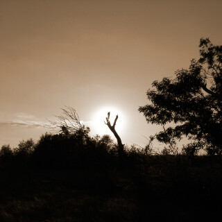 Sep-12-200619055