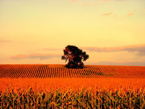 Sep-12-200619056.jpg