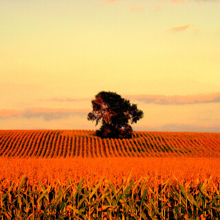Sep-12-200619056