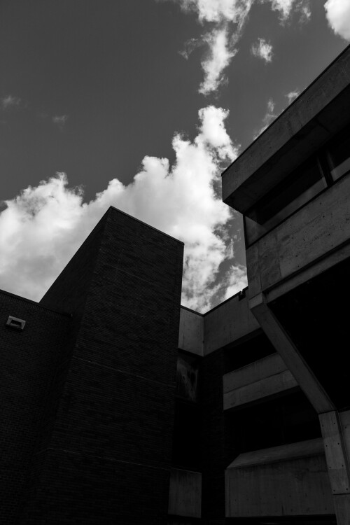 _DSF0619.jpg