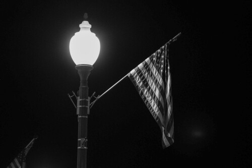 _DSF0746.jpg
