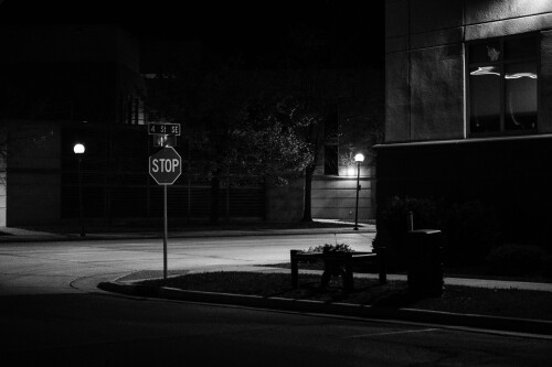 _DSF1116.jpg
